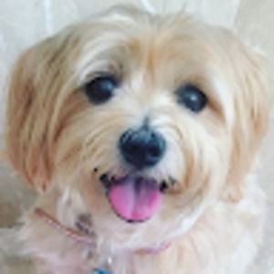 Meet your Posher, Francesca